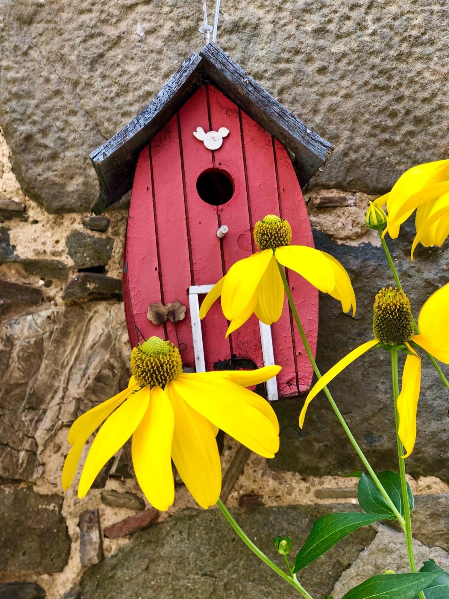 Bed and Breakfast Il Priorato Pescia Exterior foto